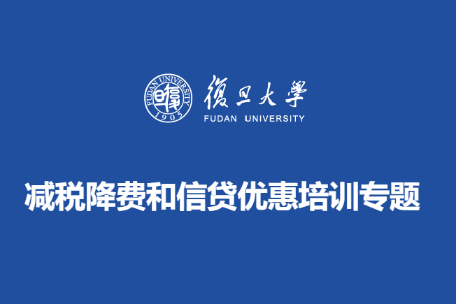 减税降费和信贷优惠培训专题