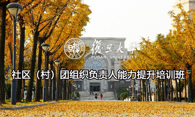 社区（村）团组织负责人能力提升培训班